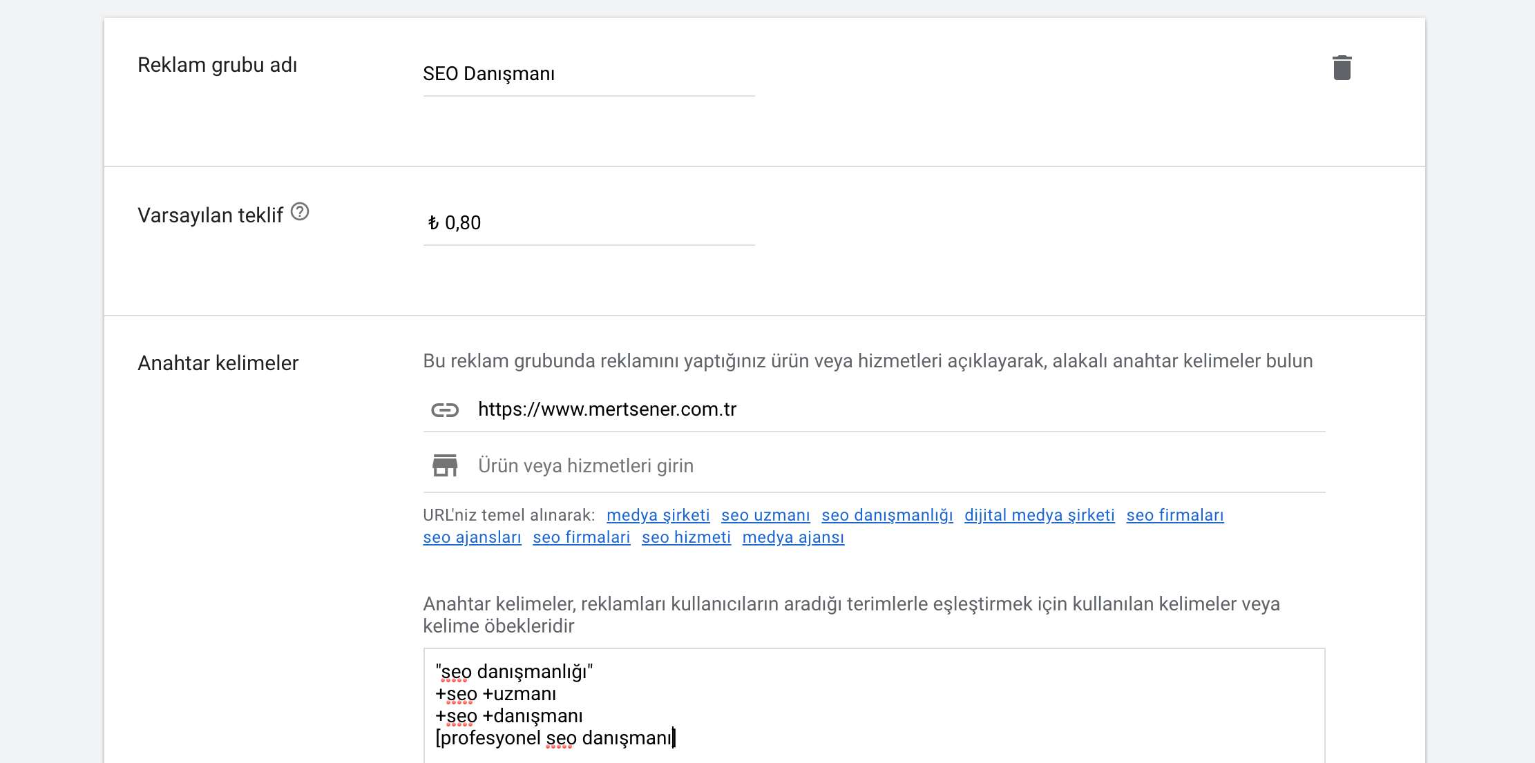 Google Ads Anahtar Kelime Girme ve Manuel TBM Tanımlama