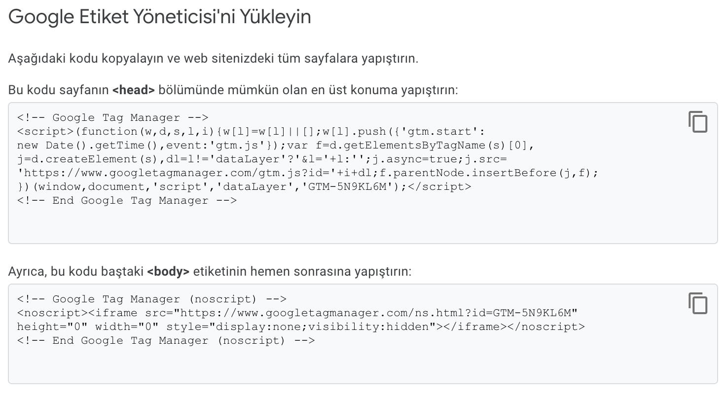 Google Tag Manager